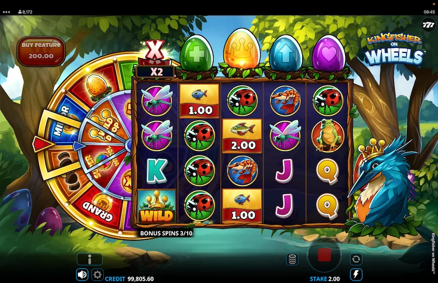 Kingfisher On Wheels Bonus Feature